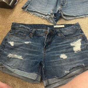 Blank nyc distressed shorts- roll over